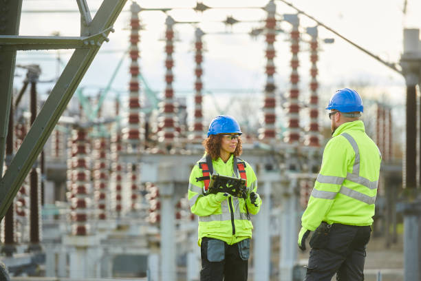 Best Generator Installation Services  in Wamac, IN